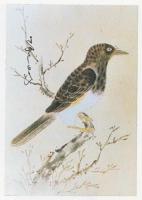 享保・元文諸国産物帳集成第II巻　常陸・下野・武蔵・伊豆七島　電子版