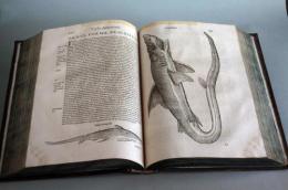 『魚類誌・海獣誌』