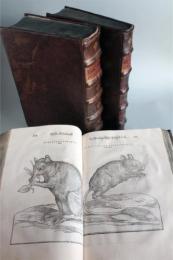 『分指四足獣誌』